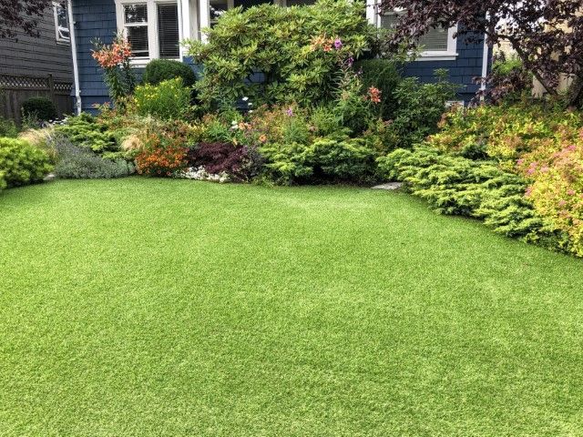 A lush green lawn in front of a house with diverse, colorful bushes and plants lining the foundation.