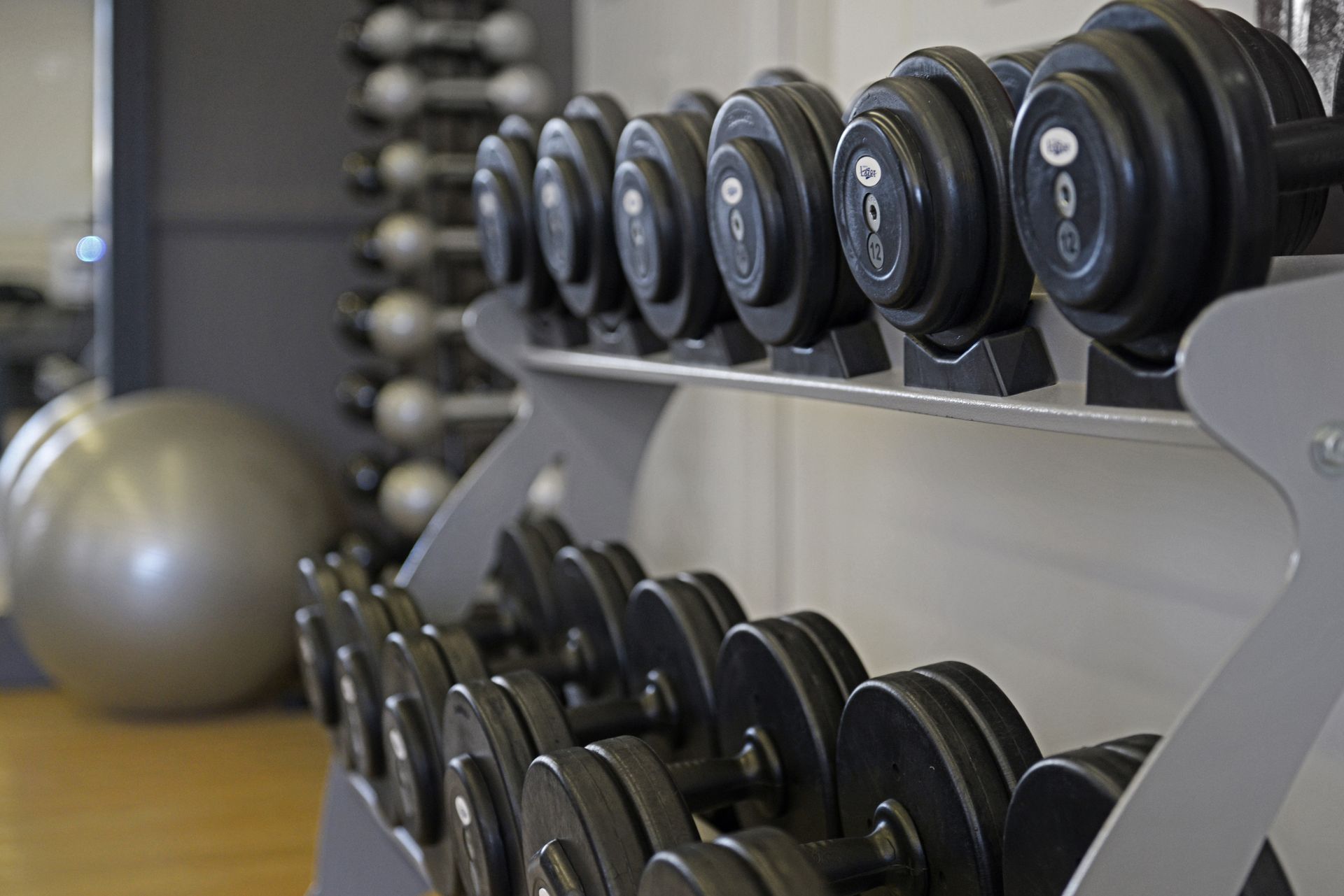 Academia
