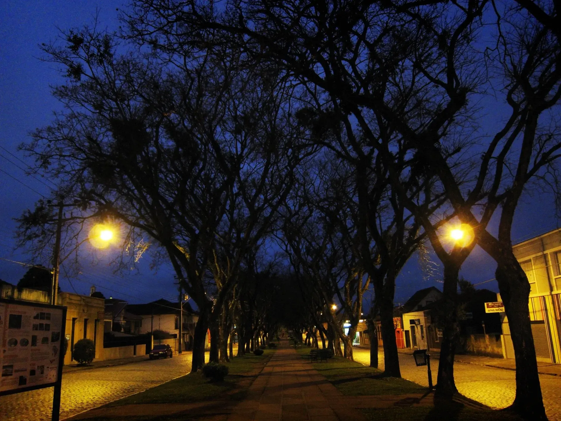 Lapa