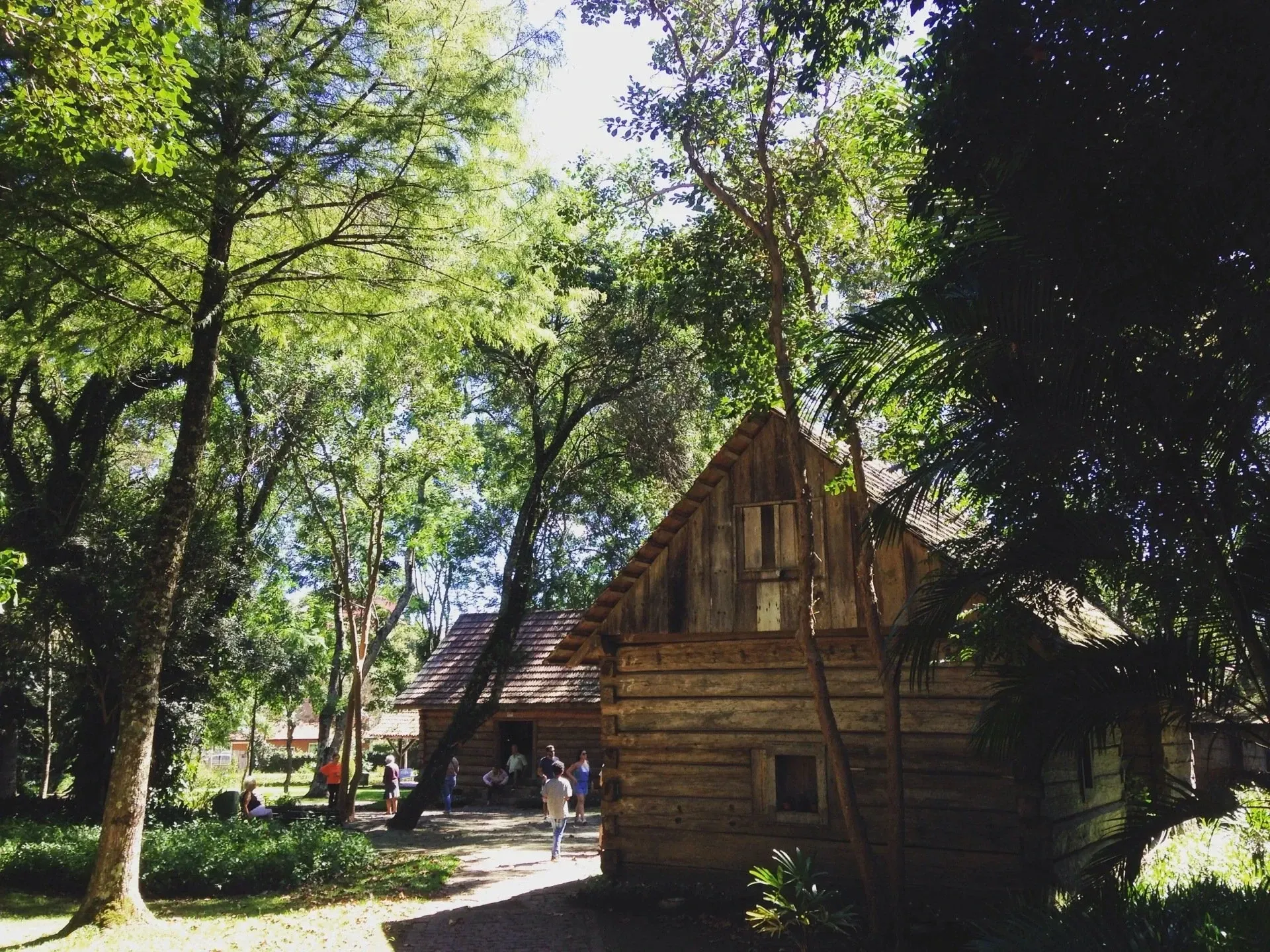Bosque do Papa