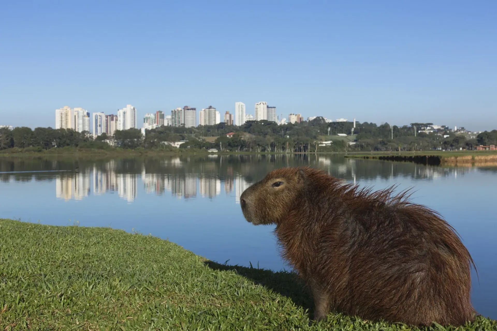 Parque Barigui