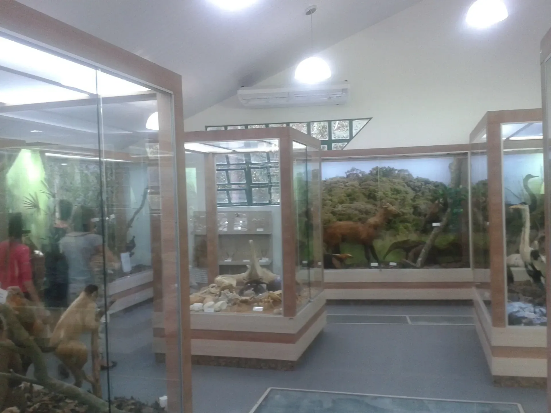 Museu de História Natural, Cascavel - Hotéis DEVILLE