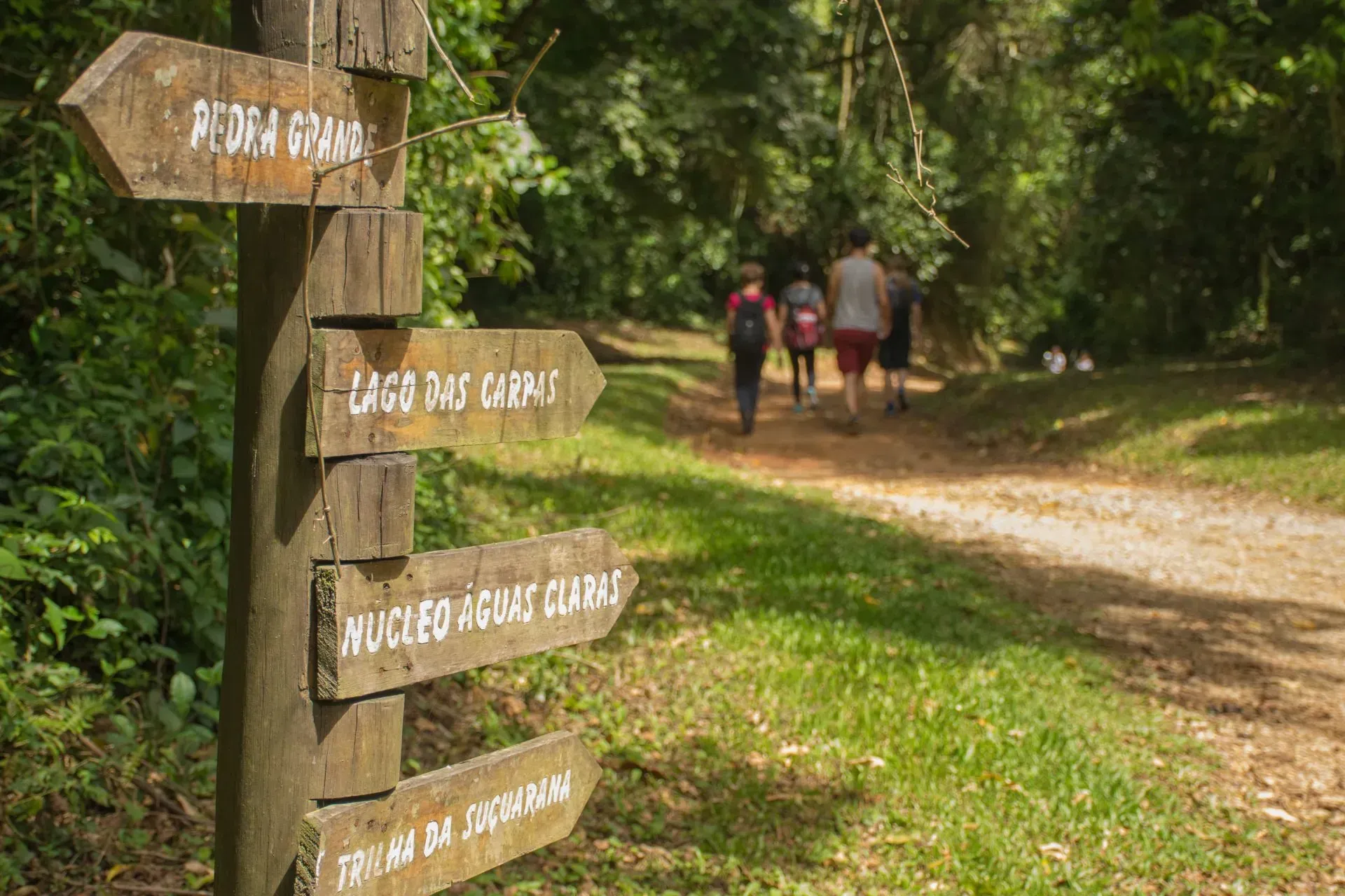 Parque Estadual Cantareira