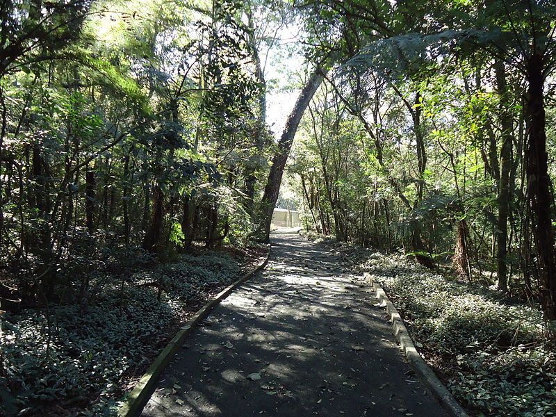 ZOO Cascavel - Parque Municipal Danilo Galafassi