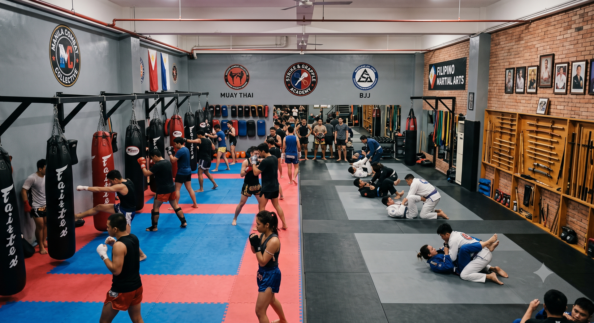 Why schools teaching multiple martial arts styles need specific per-style declaration — MMA blends, 