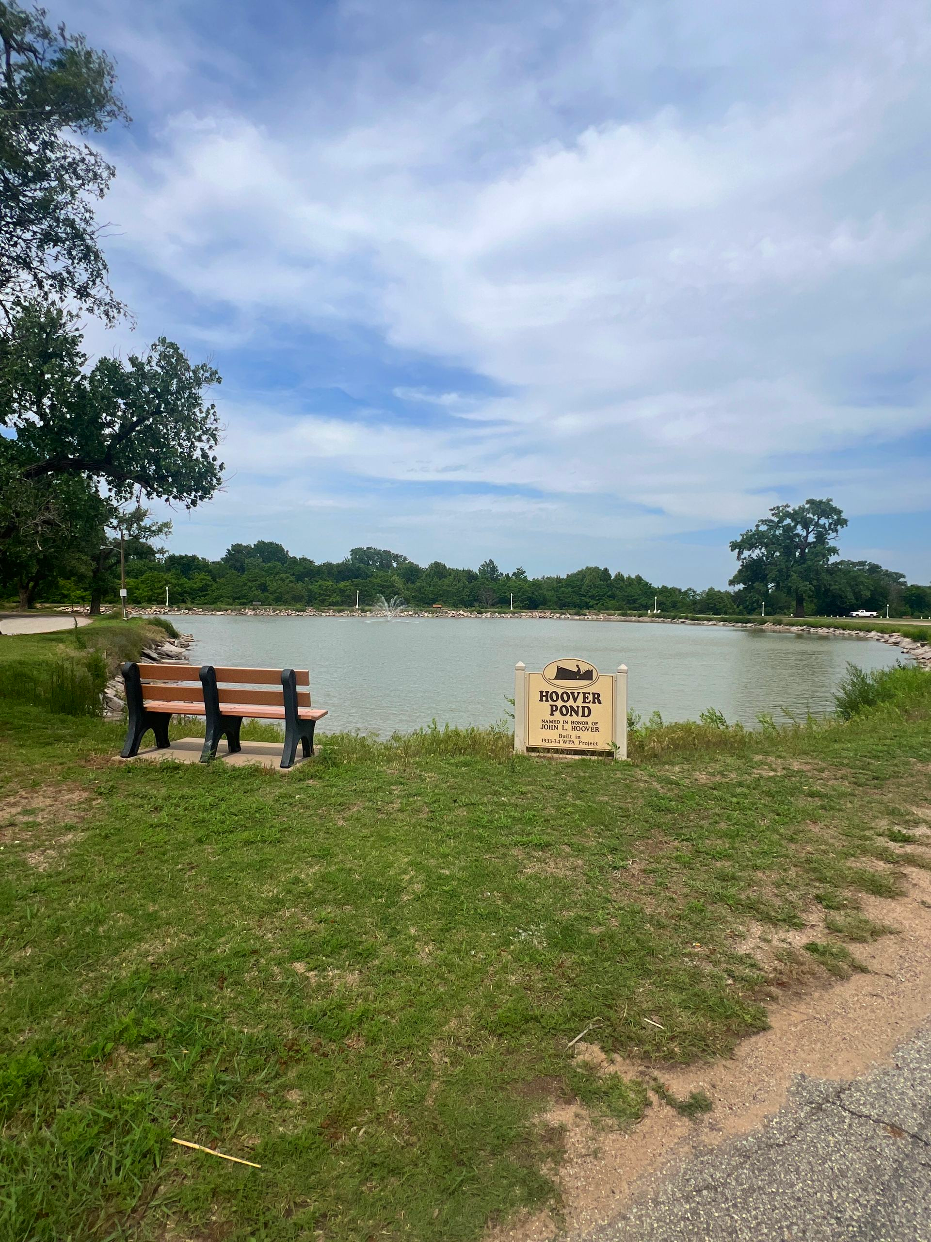 Bench beside a pond with a small sign, grassy shore, and cloudy blue sky.