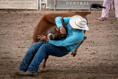 Cowboy in blue shirt and white hat being thrown from a bucking horse in a dirt arena