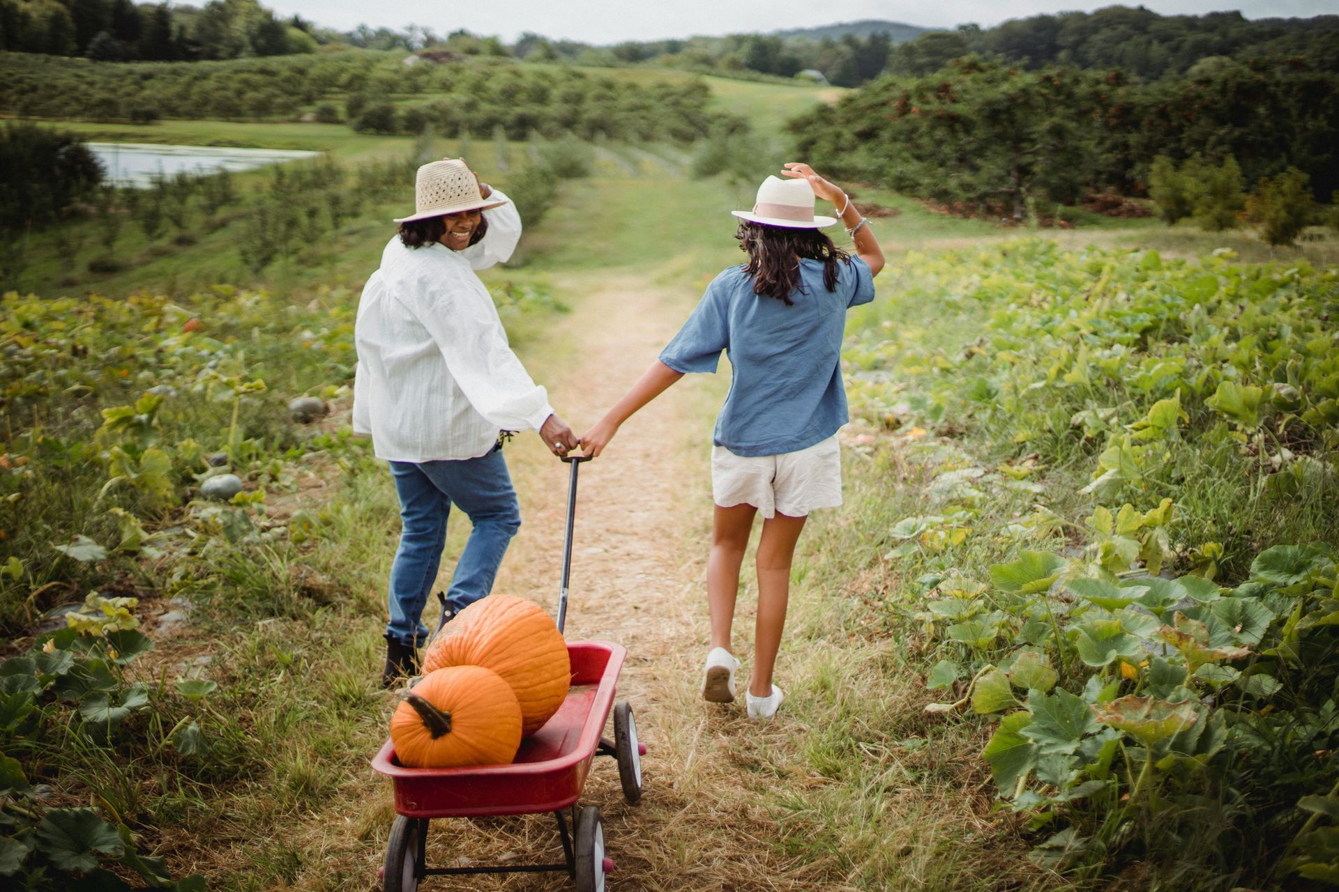 Two people in sun hats pull a pumpkin-filled wagon down a dirt path through a green field.