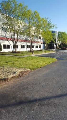 Building Lawn After