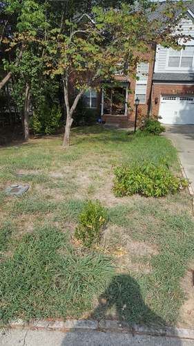 Lawn Before