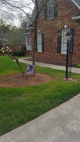 Mulch Before
