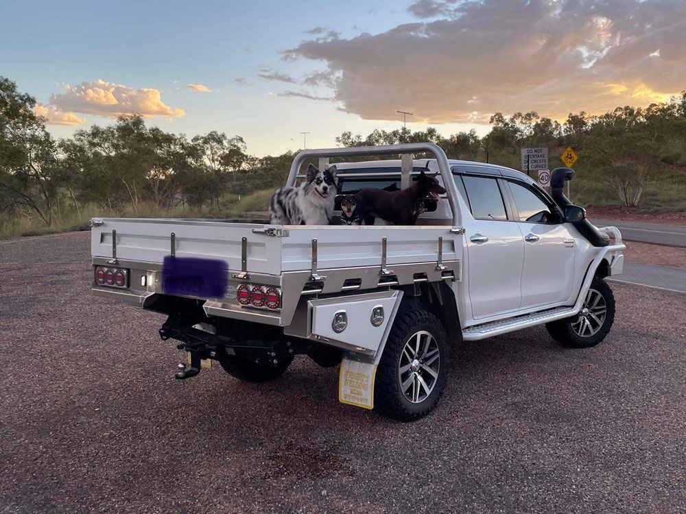 Back View Of The Pick Up With Trays And Toolbox And Three Dogs — Wright's Welding Operations In Karumba, QLD