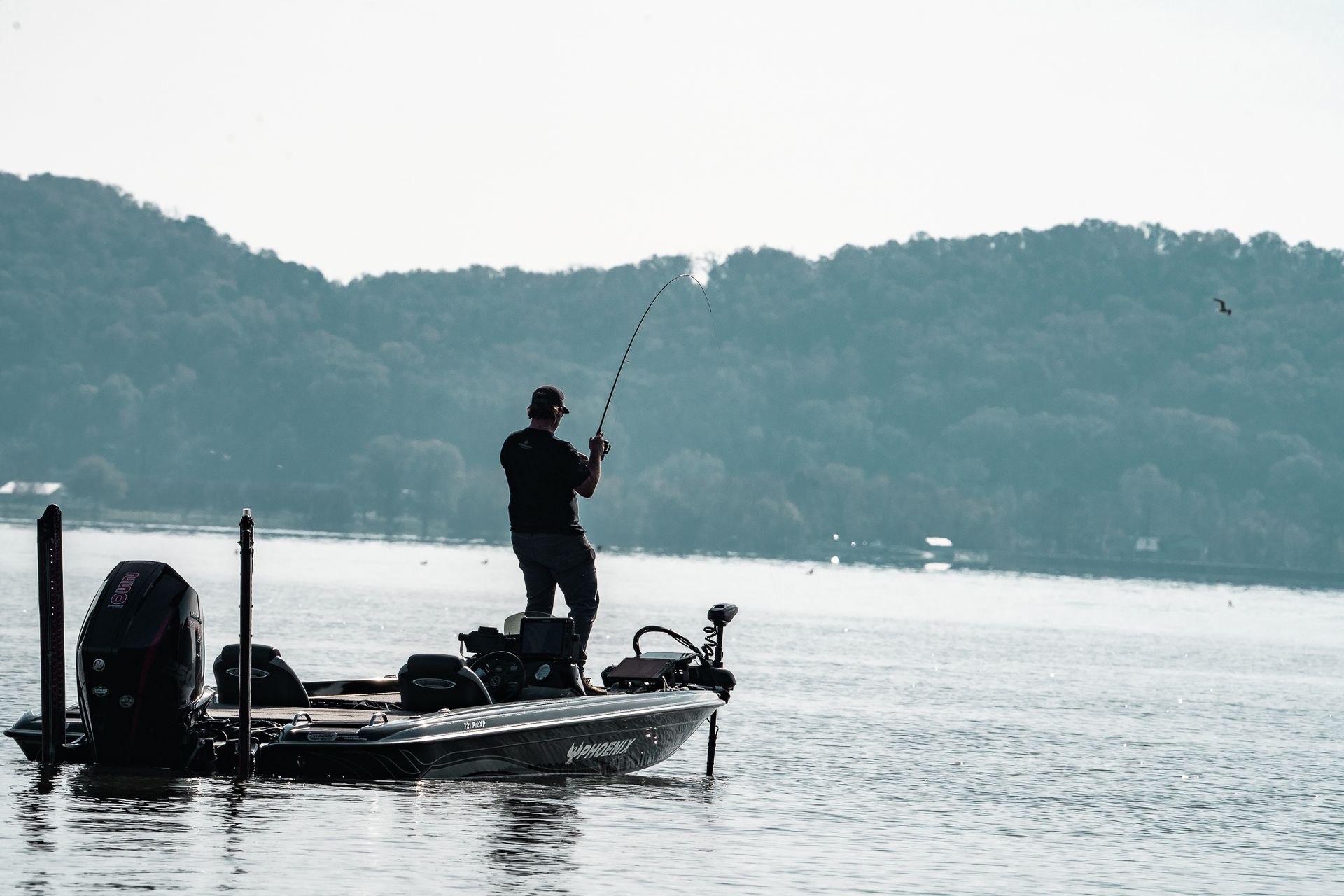 Fishing for bass