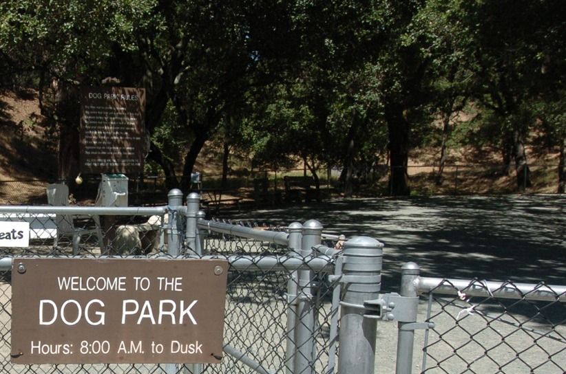 imgimg