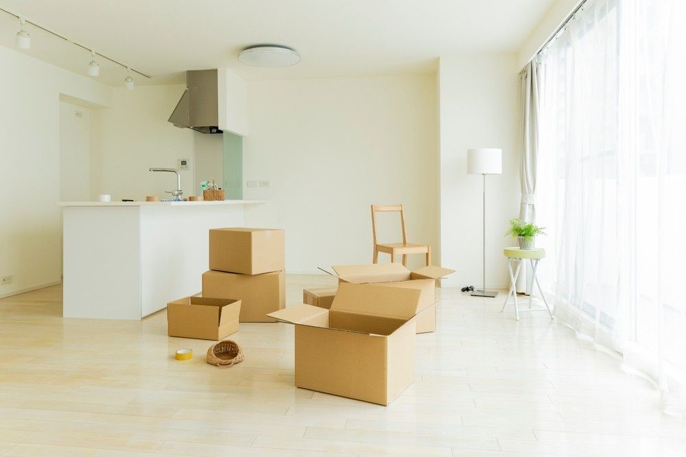 A Boxes in Empty Apartment, Open and Stacked — The Cheapy Shop in Taree, NSW
