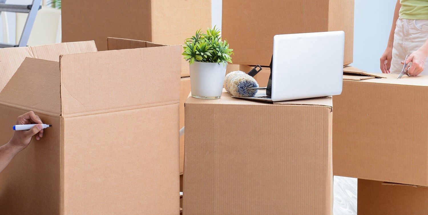A People Packing Moving Boxes, a Laptop, and a Potted Plant Are in View — The Cheapy Shop in Taree, NSW
