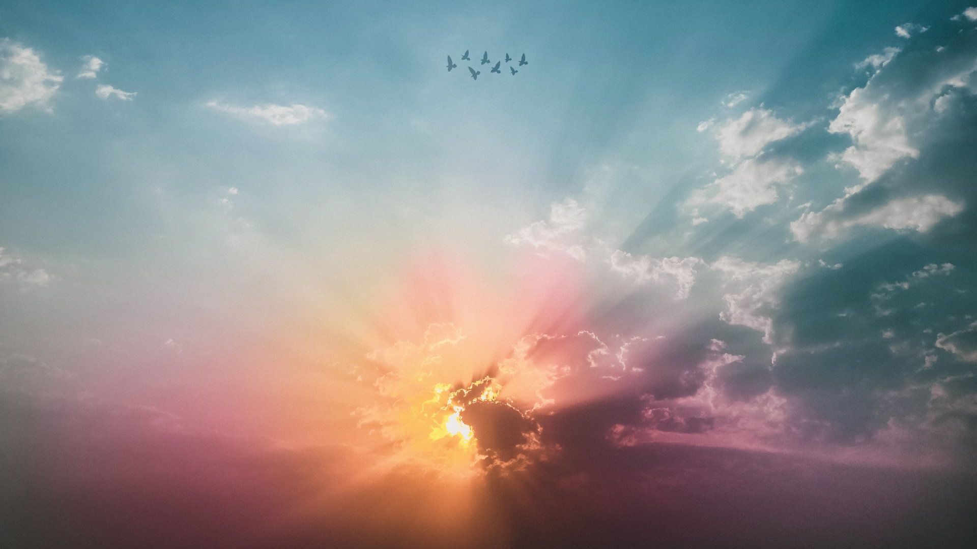 A flock of birds flying in the sky at sunset.