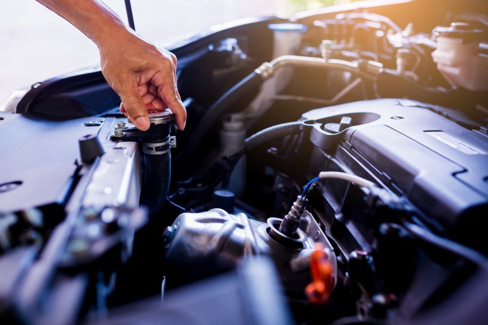 A Person is Looking Under the Hood of a Car — Protec Mechanical Repairs In Taree, NSW