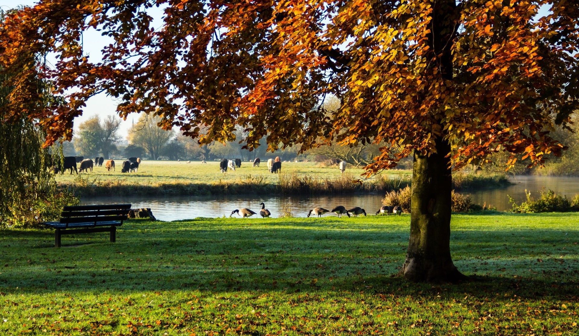 A park with a lake in the background and a bench in the foreground