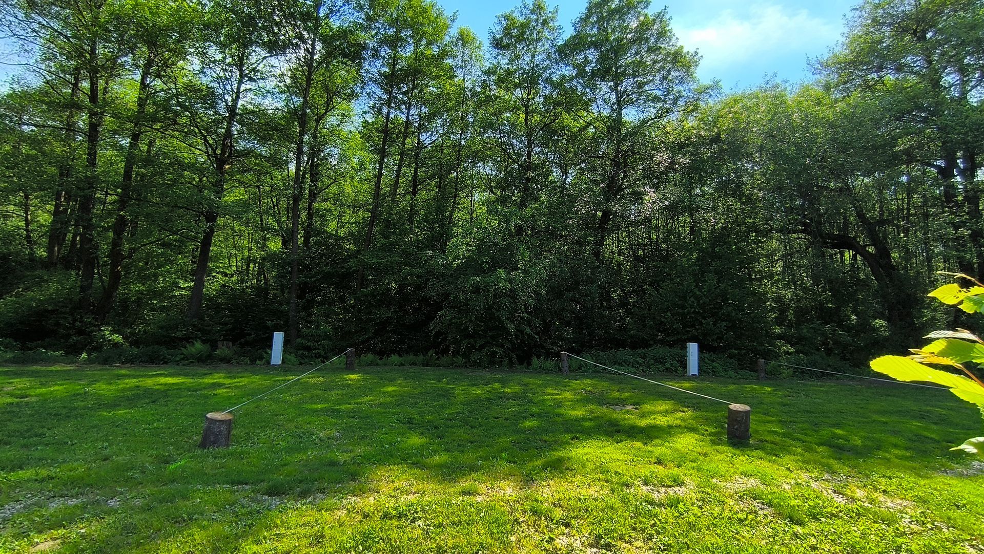 3. hely a Hammer Lake Camp