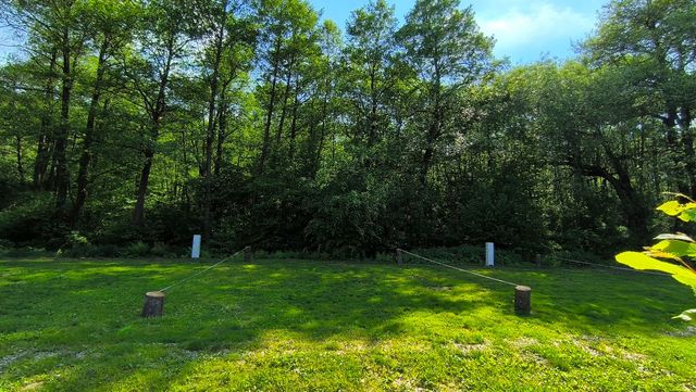 Parcela 3 v Hammer Lake Camp