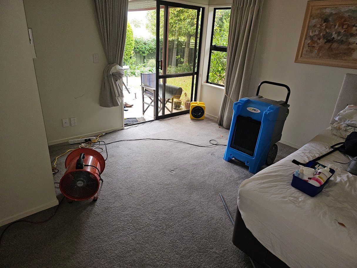 dehumidifier and air mover