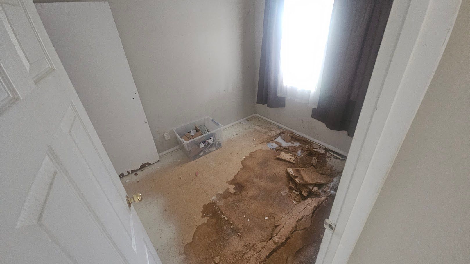 damaged particle board flooring