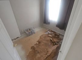 Hidden Risks of Foil Insulation
Trapped Moisture and Electrical Hazards Explained