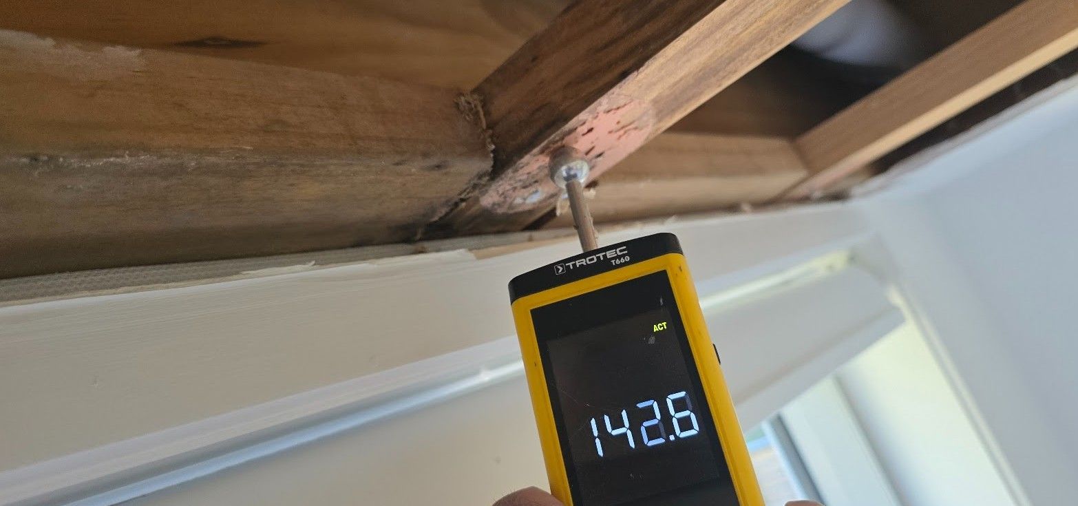 moisture metre