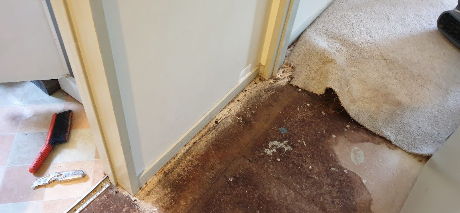 water damage particle board