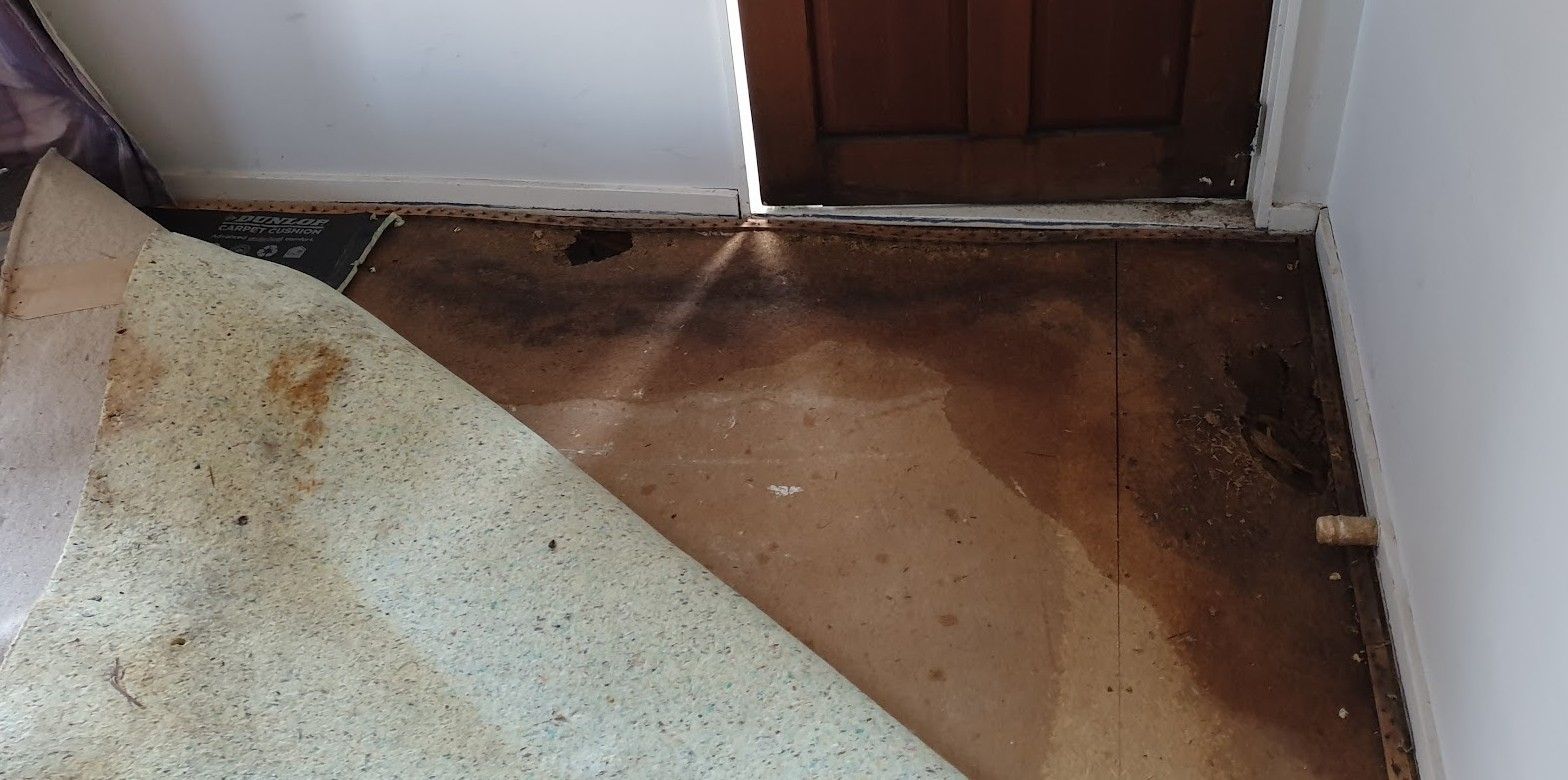 water damage particle board