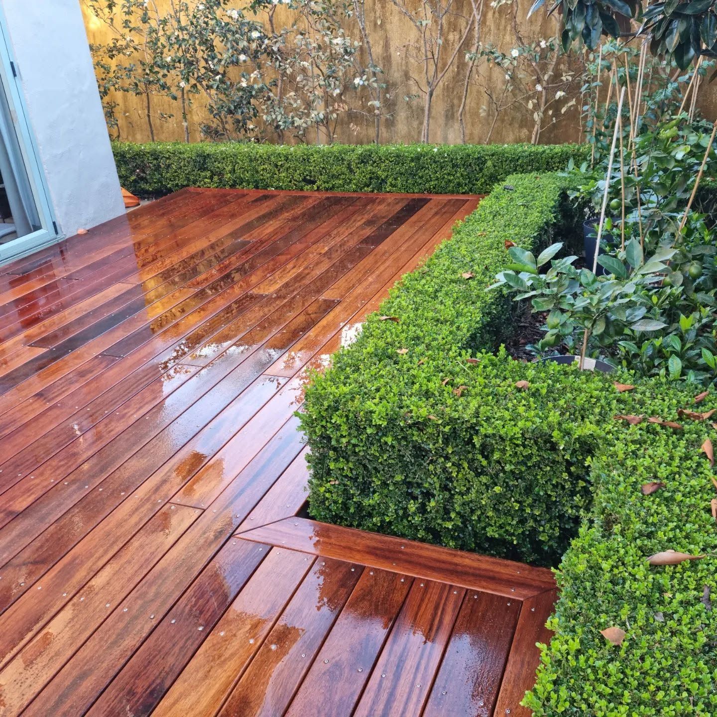  deck