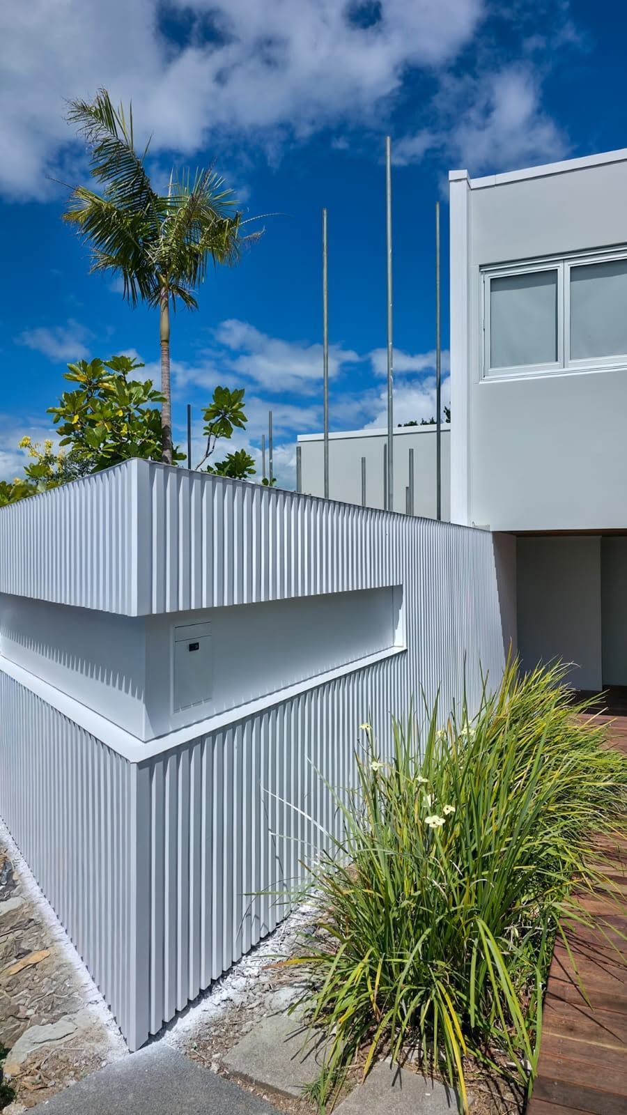 Palm fronds beside a white building corner under a blue sky