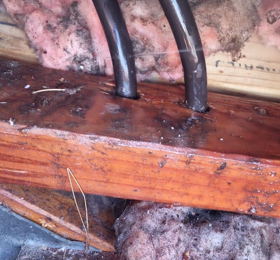 plumbing pipe spraying water