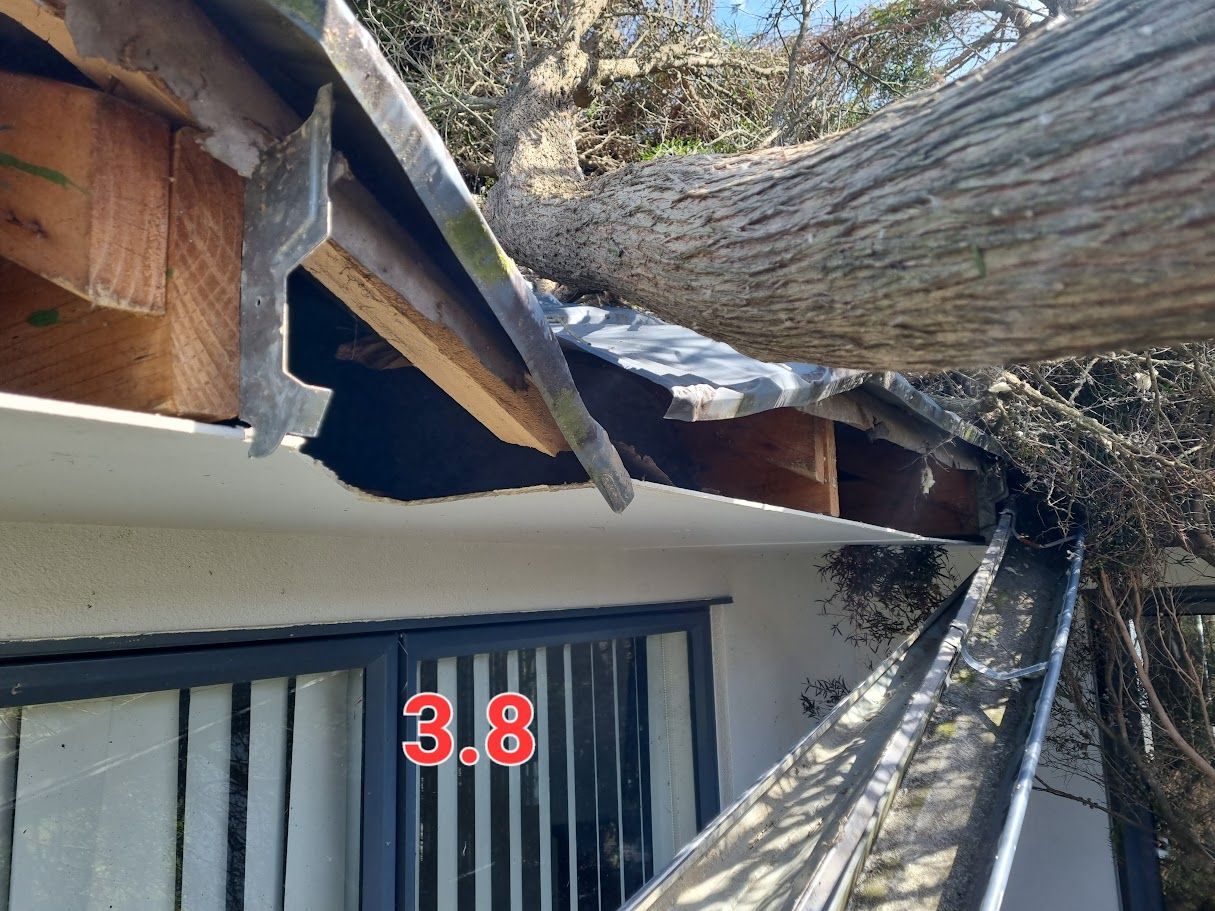 tree falling into house