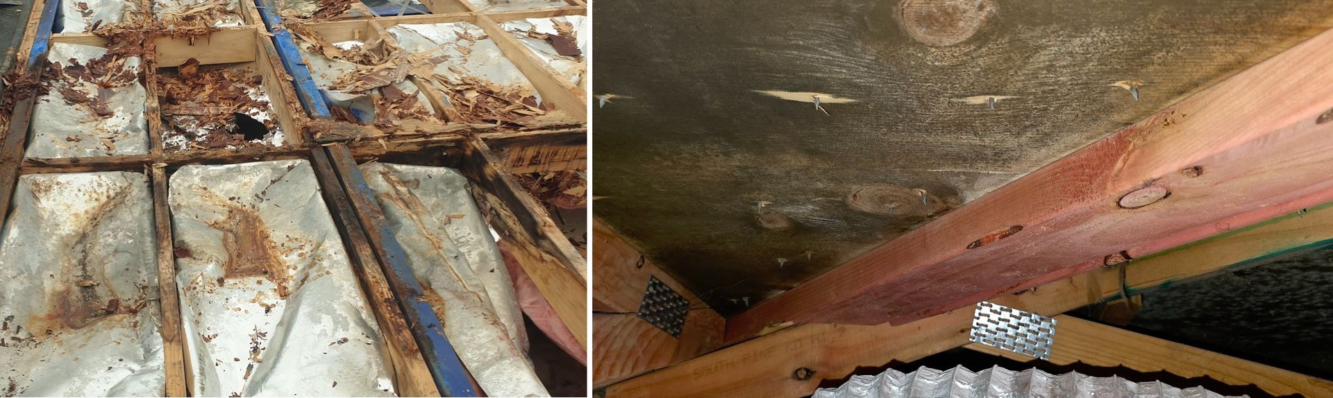 Mould and water damage framing