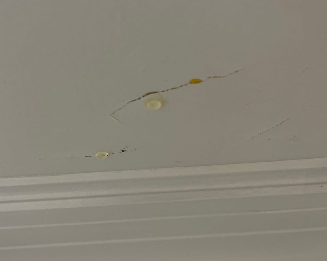 water dripping through ceiling
