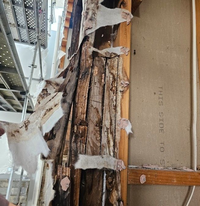Rotten timber