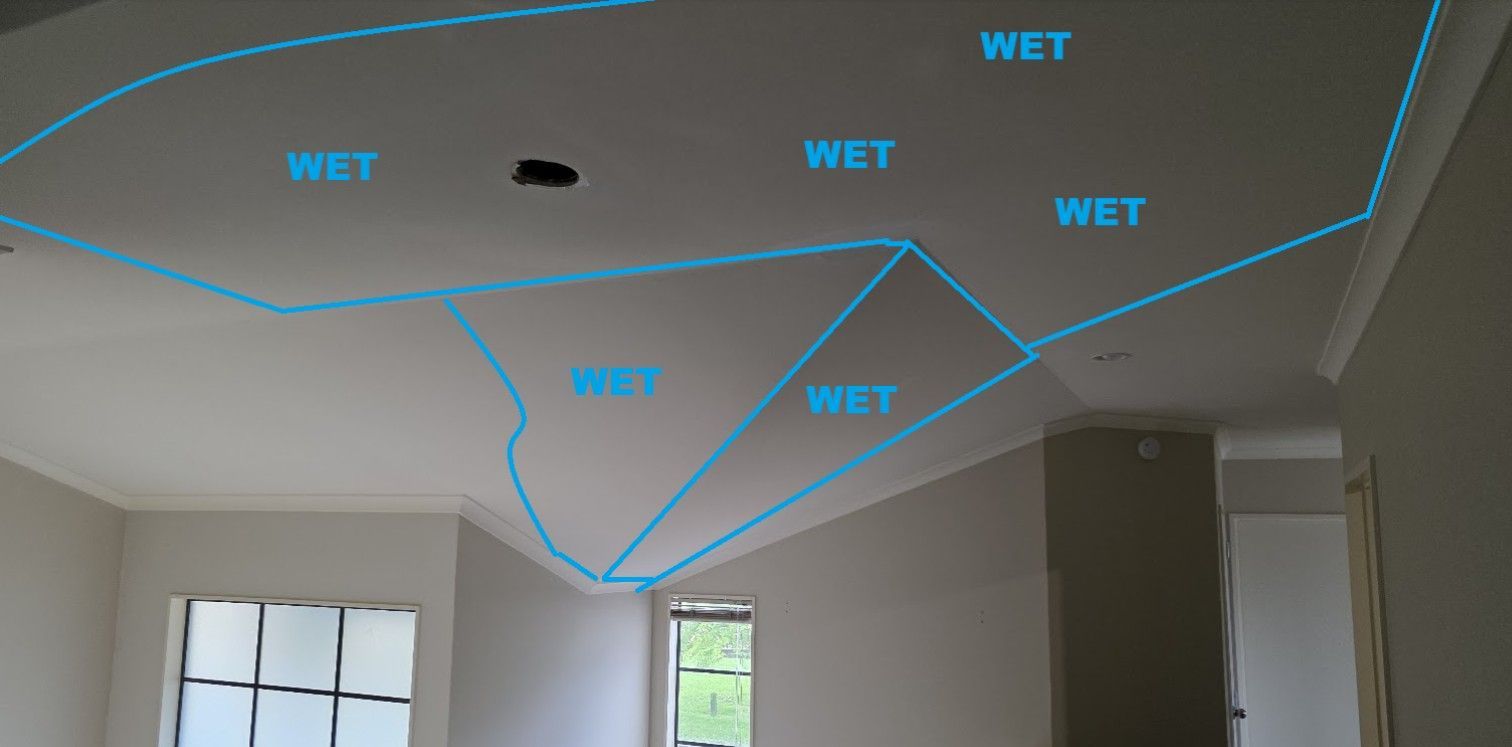 Ceiling moisture map
