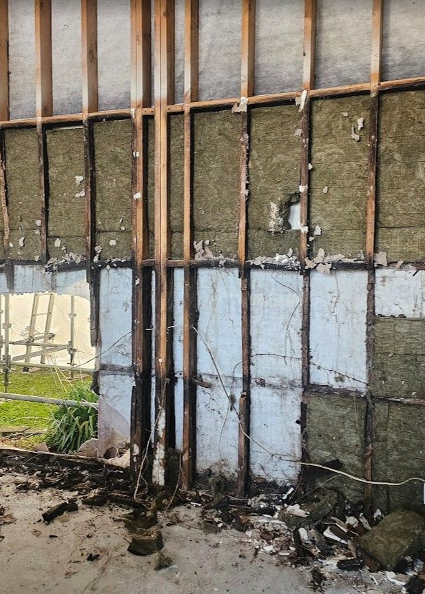 Rotten timber