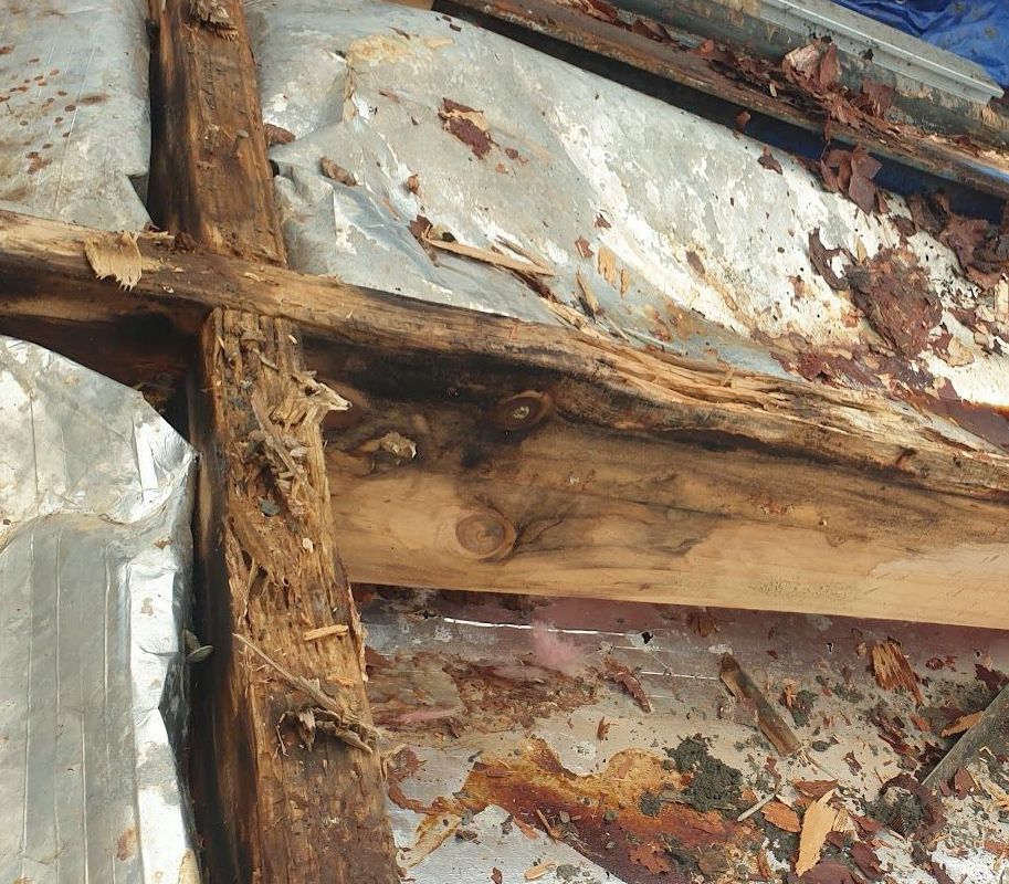 rotten floor joist