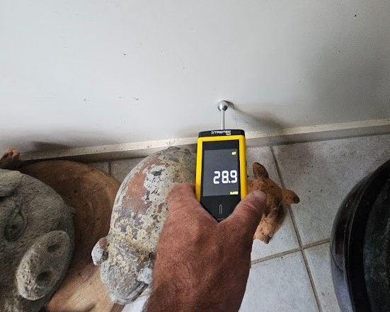 Moisture metre
