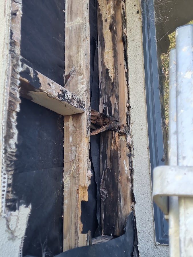 rotten wood