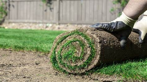 sod installation kitchener waterloo