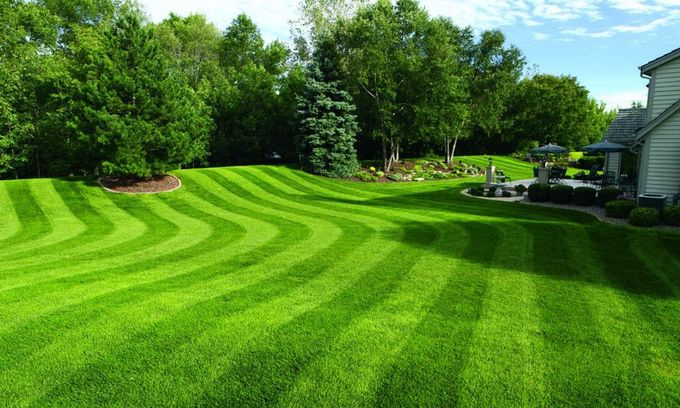 lawn care kitchener waterloo