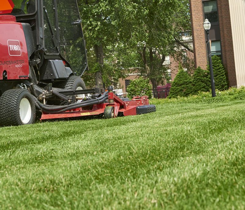 Lawn maintenance waterloo region, kitchener waterloo