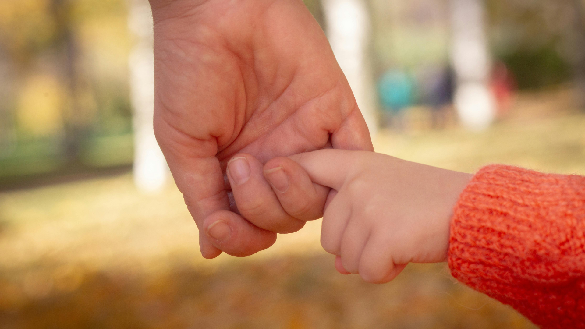 Adult hand holding a child's hand. Focus on the hands. Orange sweater sleeve visible. Blurred outdoor background.