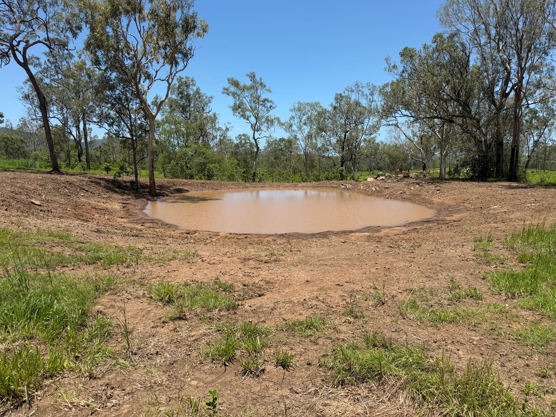 Mud-filled Watering Hole In A Dry Clearing Surrounded — Blue Dog Hire Qld In Bowen, QLD