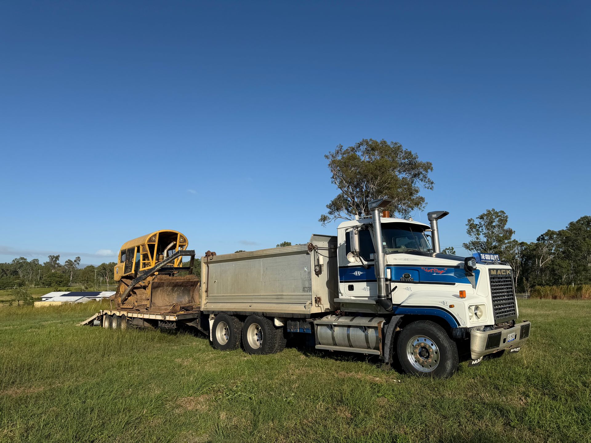White Semi-truck Hauling A Yellow Bulldozer On A Flatbed Trailer — Blue Dog Hire Qld In Mackay, QLD