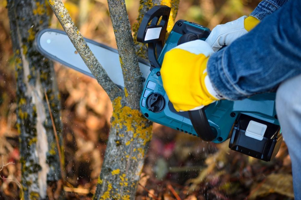 Person Wearing Yellow Gloves Uses a Teal Chainsaw to Cut a Tree Branch — D & C Tree Services Pty Ltd in Muswellbrook, NSW